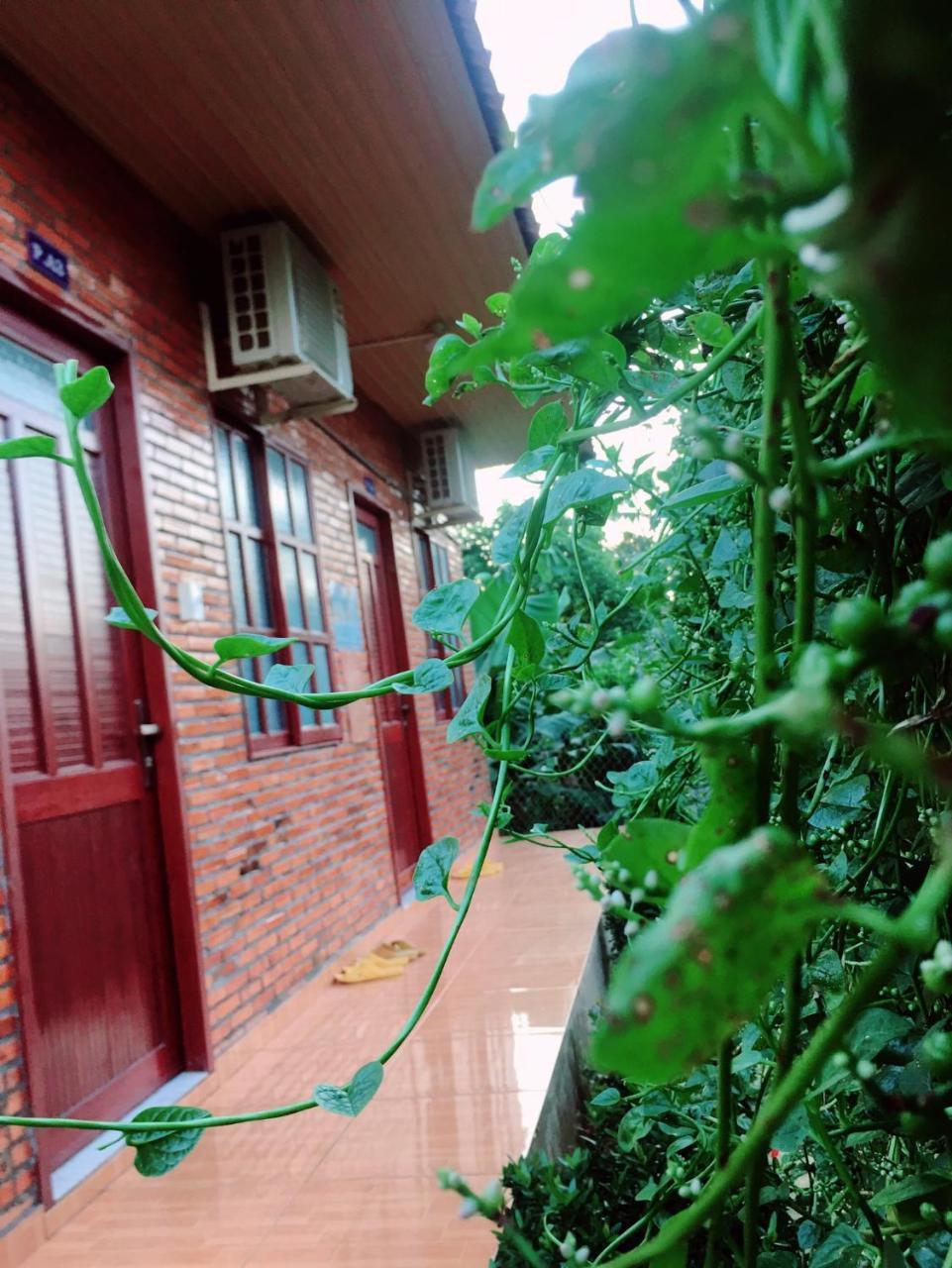 Nam Cat Tien Homestay Ngoại thất bức ảnh